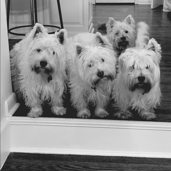 💁🏻♀️HERE’S a little about me and my store (Lugginbug)….. - Picture 7 of 11